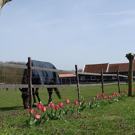 De Tulp Acomodação com café da manhã Noordgouwe Exterior foto