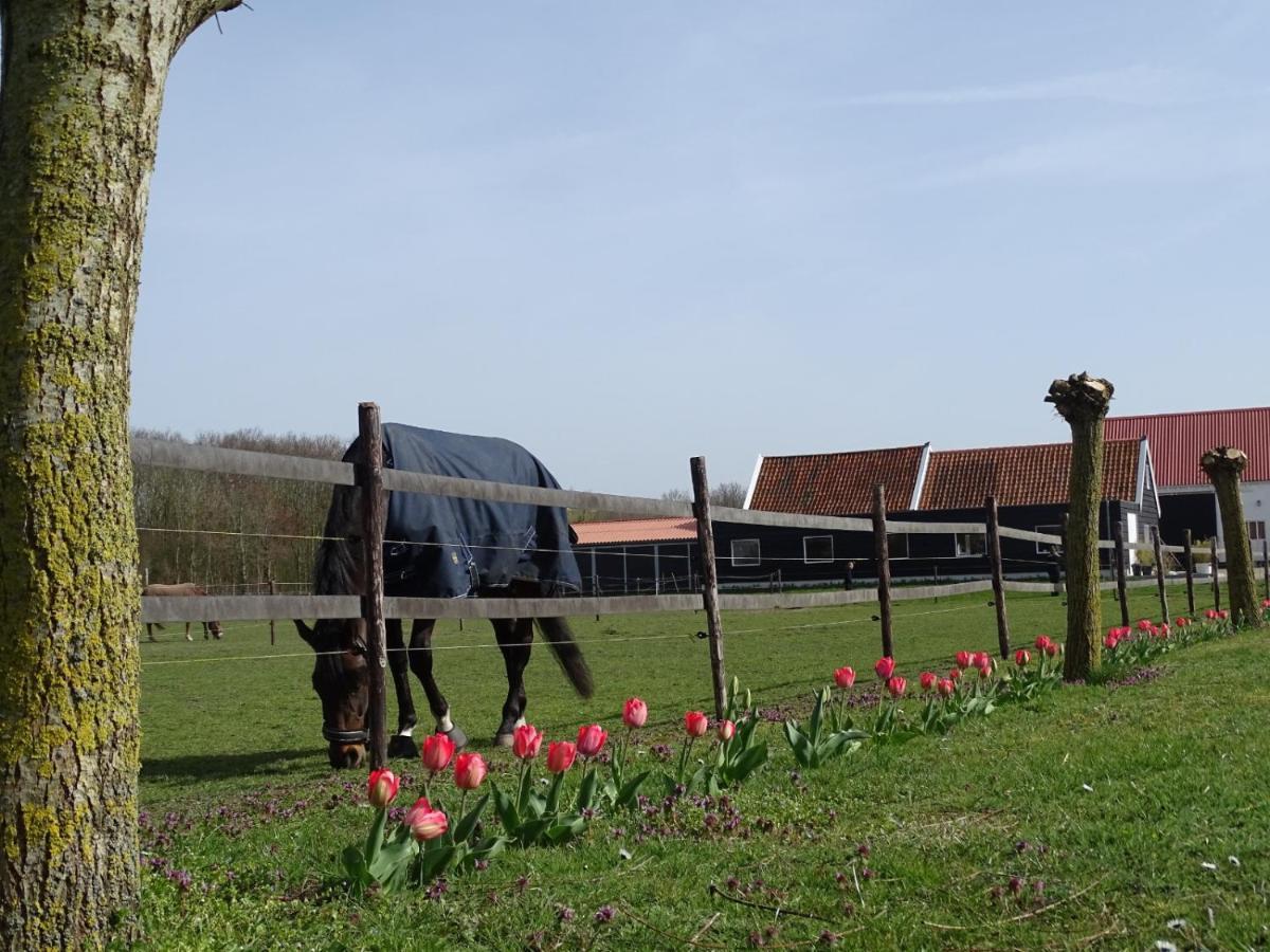 De Tulp Acomodação com café da manhã Noordgouwe Exterior foto